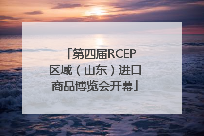 第四届RCEP区域（山东）进口商品博览会开幕