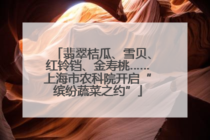 翡翠桔瓜、雪贝、红铃铛、金寿桃……上海市农科院开启“缤纷蔬菜之约”