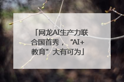 网龙AI生产力联合国首秀，“AI+教育”大有可为