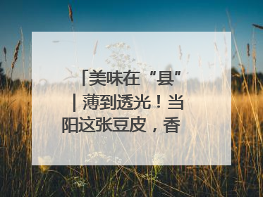 美味在“县”｜薄到透光！当阳这张豆皮，香飘数百年
