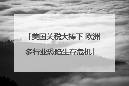 美国关税大棒下 欧洲多行业恐陷生存危机