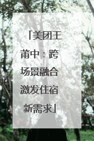 美团王莆中：跨场景融合激发住宿新需求