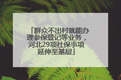 群众不出村就能办理参保登记等业务，河北29项社保事项延伸至基层