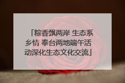 粽香飘两岸 生态系乡情 奉台两地端午活动深化生态文化交流