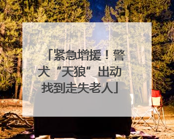 紧急增援！警犬“天狼”出动找到走失老人