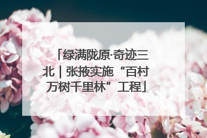 绿满陇原·奇迹三北｜张掖实施“百村万树千里林”工程