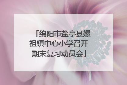 绵阳市盐亭县嫘祖镇中心小学召开期末复习动员会