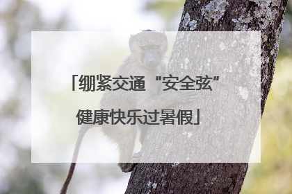 绷紧交通“安全弦” 健康快乐过暑假
