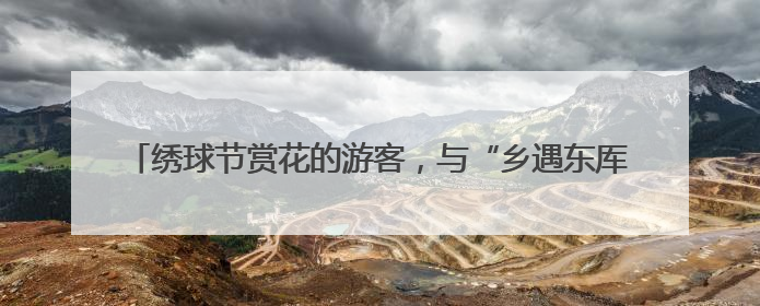 绣球节赏花的游客，与“乡遇东厍·叶辛书院”里的新书首发偶遇了
