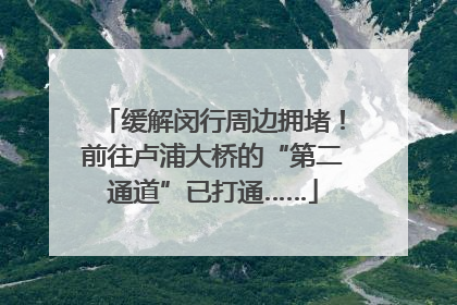 缓解闵行周边拥堵！前往卢浦大桥的“第二通道”已打通……