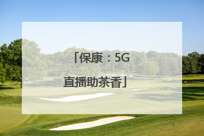 保康：5G直播助茶香