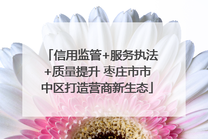 信用监管+服务执法+质量提升 枣庄市市中区打造营商新生态