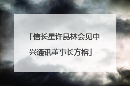 信长星许昆林会见中兴通讯董事长方榕