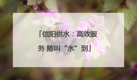 信阳供水：高效服务 随叫“水”到