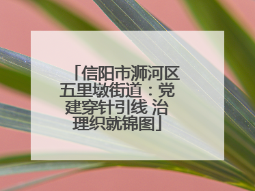 信阳市浉河区五里墩街道：党建穿针引线 治理织就锦图