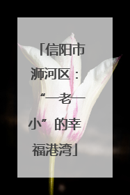 信阳市浉河区：“一老一小”的幸福港湾