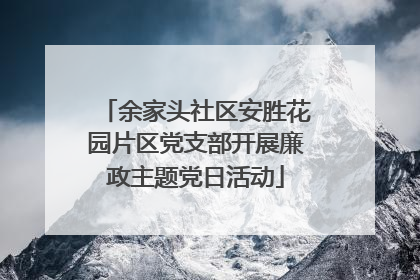 余家头社区安胜花园片区党支部开展廉政主题党日活动