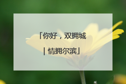 你好，双拥城｜情拥尔滨
