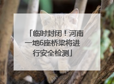 临时封闭！河南一地6座桥梁将进行安全检测
