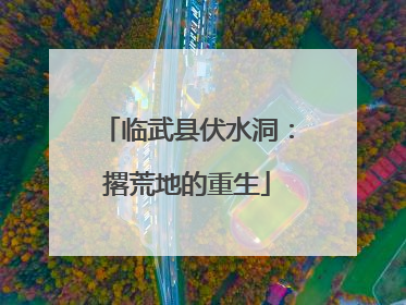 临武县伏水洞：撂荒地的重生