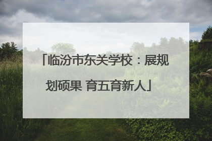 临汾市东关学校：展规划硕果 育五育新人