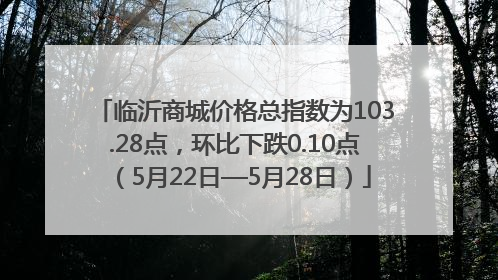 临沂商城价格总指数为103.28点，环比下跌0.10点（5月22日—5月28日）