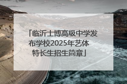 临沂士博高级中学发布学校2025年艺体特长生招生简章