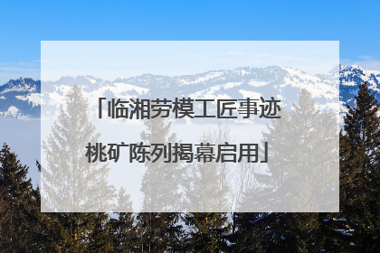临湘劳模工匠事迹桃矿陈列揭幕启用