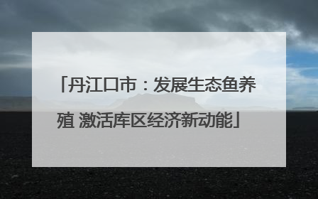 丹江口市：发展生态鱼养殖 激活库区经济新动能