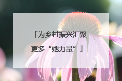 为乡村振兴汇聚更多“她力量”