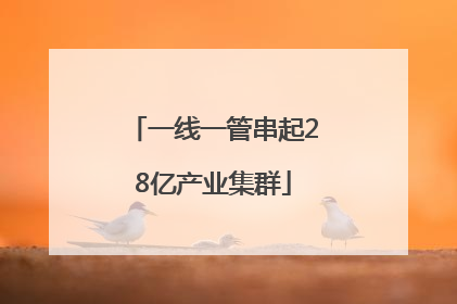 一线一管串起28亿产业集群