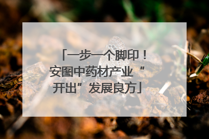 一步一个脚印！安图中药材产业“开出”发展良方