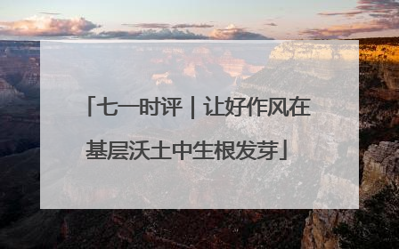 七一时评｜让好作风在基层沃土中生根发芽