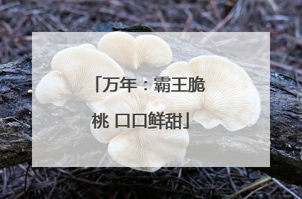 万年：霸王脆桃 口口鲜甜