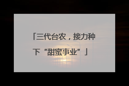 三代台农，接力种下“甜蜜事业”