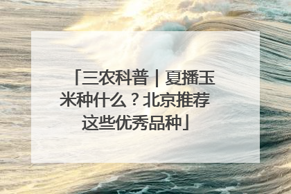 三农科普｜夏播玉米种什么？北京推荐这些优秀品种