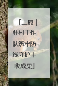 三夏｜驻村工作队筑牢防线守护丰收成果