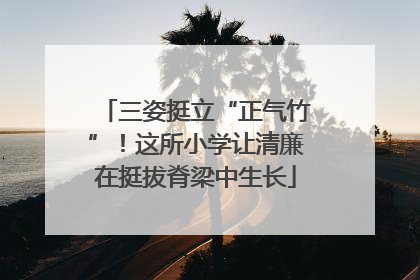 三姿挺立“正气竹”！这所小学让清廉在挺拔脊梁中生长
