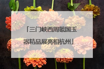 三门峡西周虢国玉器精品展亮相杭州