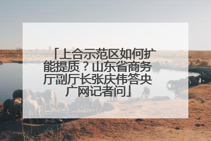 上合示范区如何扩能提质？山东省商务厅副厅长张庆伟答央广网记者问