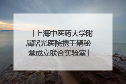 上海中医药大学附属曙光医院携手鹊秘堂成立联合实验室