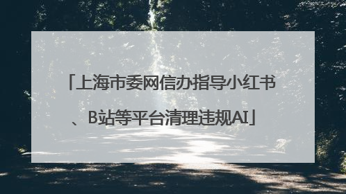 上海市委网信办指导小红书、B站等平台清理违规AI