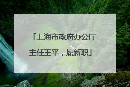 上海市政府办公厅主任王平，履新职