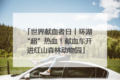 世界献血者日丨环湖“超”热血！献血车开进红山森林动物园
