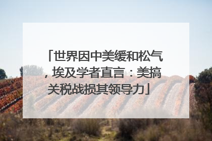 世界因中美缓和松气，埃及学者直言：美搞关税战损其领导力