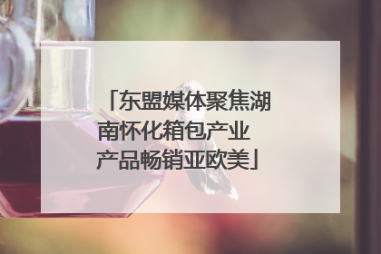 东盟媒体聚焦湖南怀化箱包产业 产品畅销亚欧美