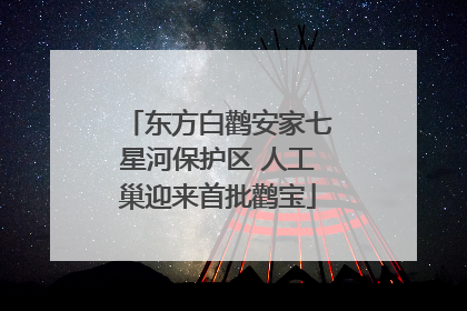东方白鹳安家七星河保护区 人工巢迎来首批鹳宝