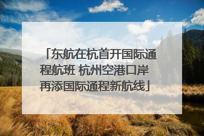 东航在杭首开国际通程航班 杭州空港口岸再添国际通程新航线