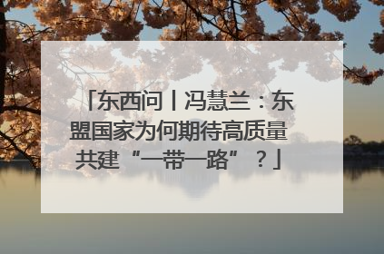 东西问丨冯慧兰：东盟国家为何期待高质量共建“一带一路”？