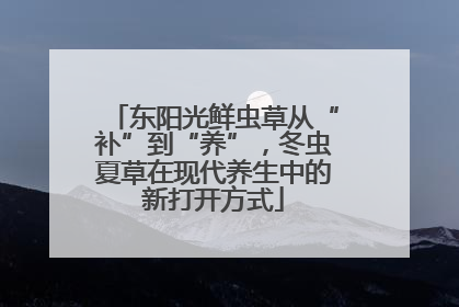 东阳光鲜虫草从“补”到“养”，冬虫夏草在现代养生中的新打开方式